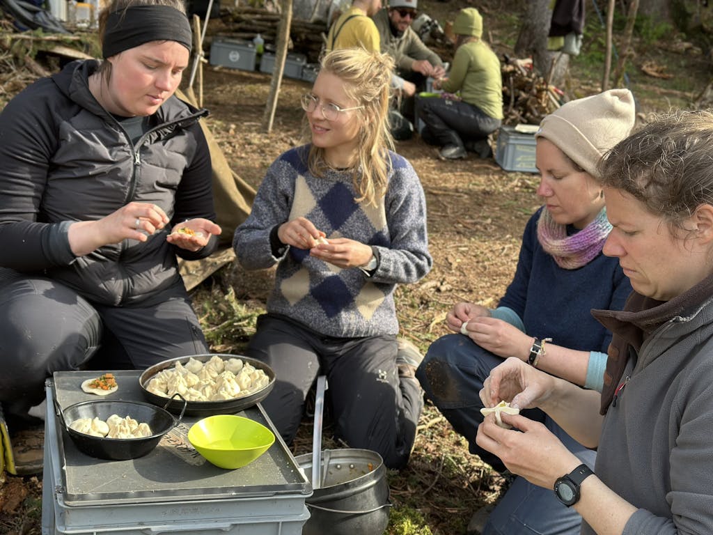 IMG 4764