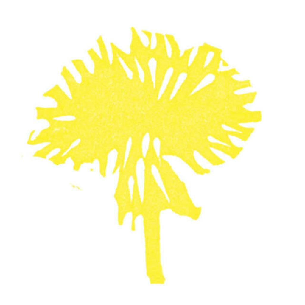 Löwenzahn yellow